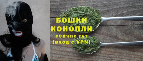 стаф Белокуриха