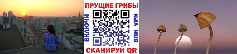 hydra как войти  наркошоп  Семикаракорск  Галлюциногенные грибы прущие грибы 